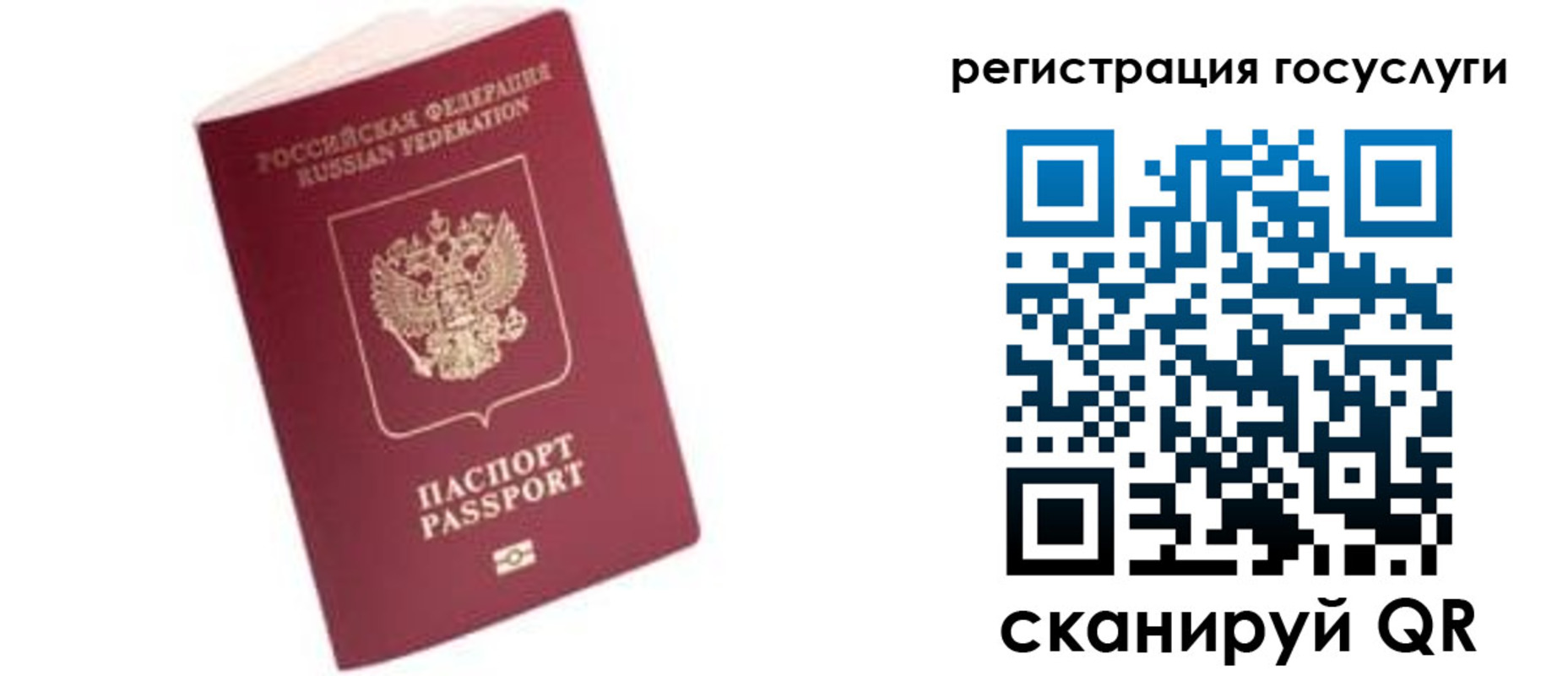 прописка поиск в Электростали